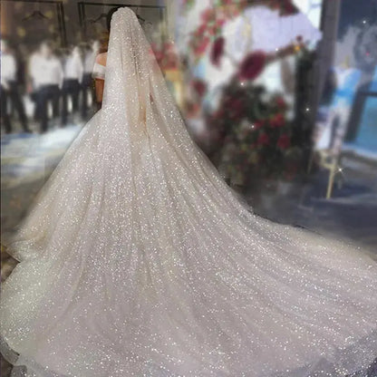 One-tier Sparkle & Shine / Hyperbole Wedding Veil Cathedral Veils with Sequin 110.24 in (280cm) Tulle dress to impress 2026