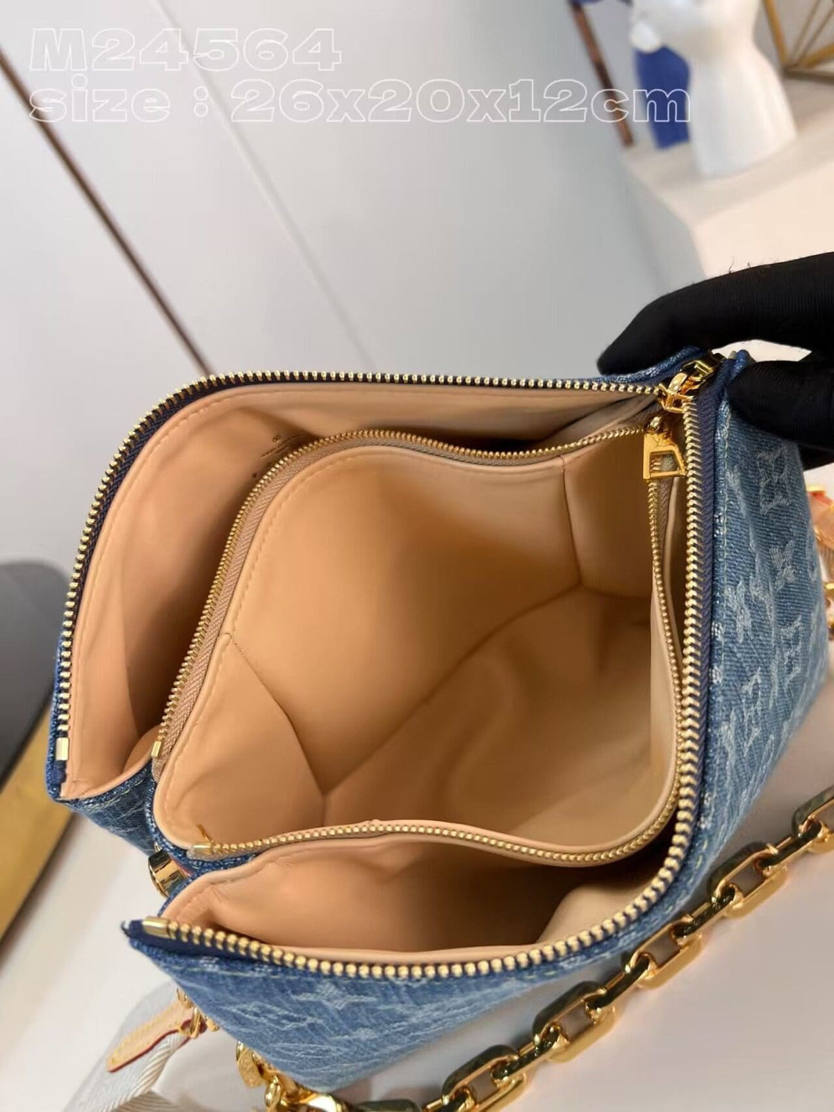Louis Vuitton M24564 NEW Coussin PM