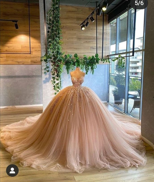 Ball Gowns Pink Prom Dress Quinceanera Dresses