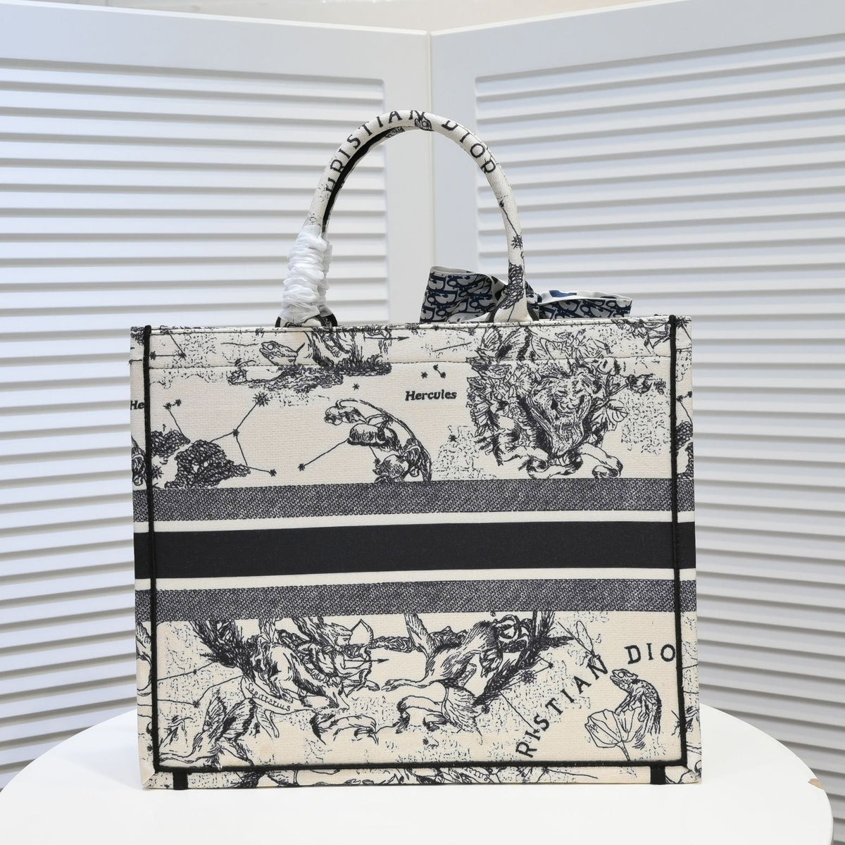 Dior Zodiac Embroidery