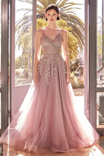 Vintage Spaghetti Strap Prom Dress Lace Applique Tulle A-Line Formal Evening Gown TP5800