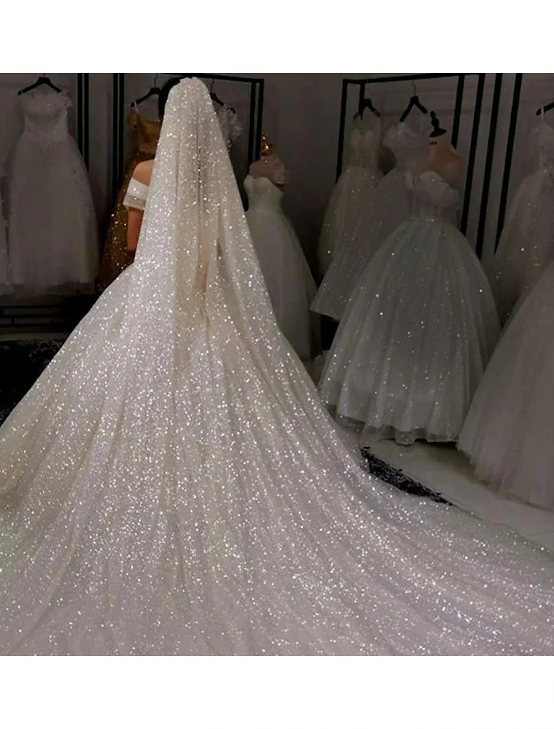 One-tier Sparkle & Shine / Hyperbole Wedding Veil Cathedral Veils with Sequin 110.24 in (280cm) Tulle dress to impress 2026