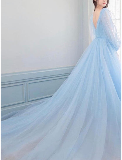 A-Line Prom Dresses Luxurious Dress Engagement Prom Watteau Train Long Sleeve V Neck Tulle V Back with Sleek Pure Color 2025